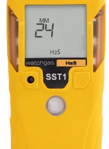SST1 2&3 year model